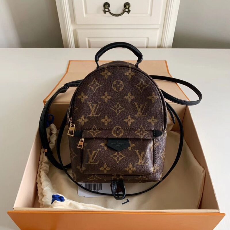 Louis Vuitton Palm Springs Mini Backpack