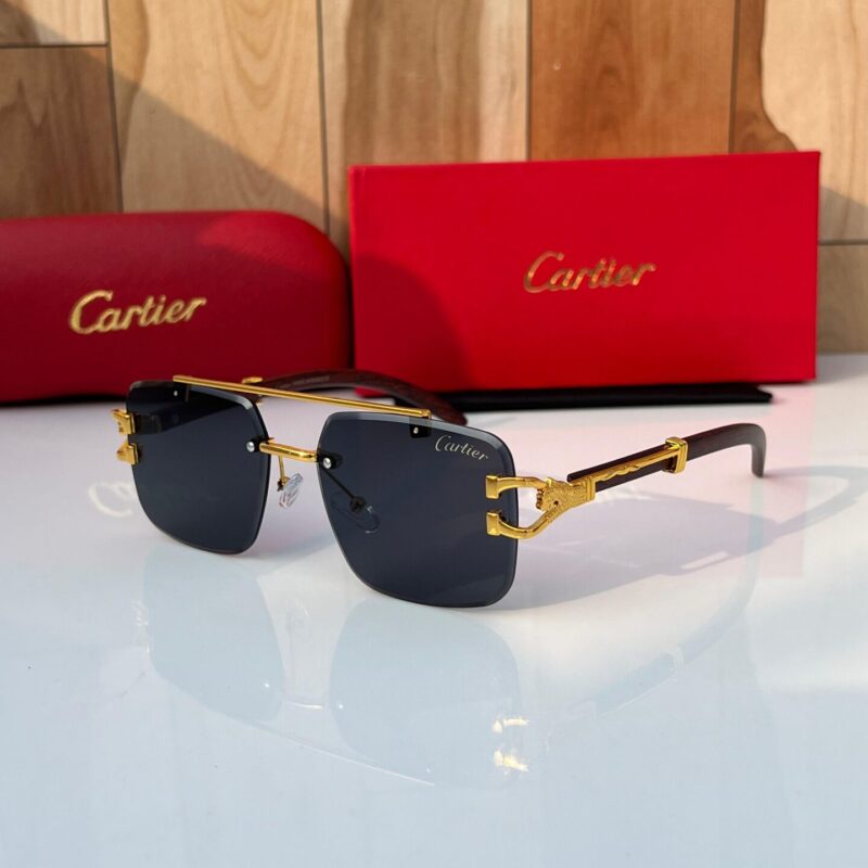 Cartier Santos de Cartier Sunglasses