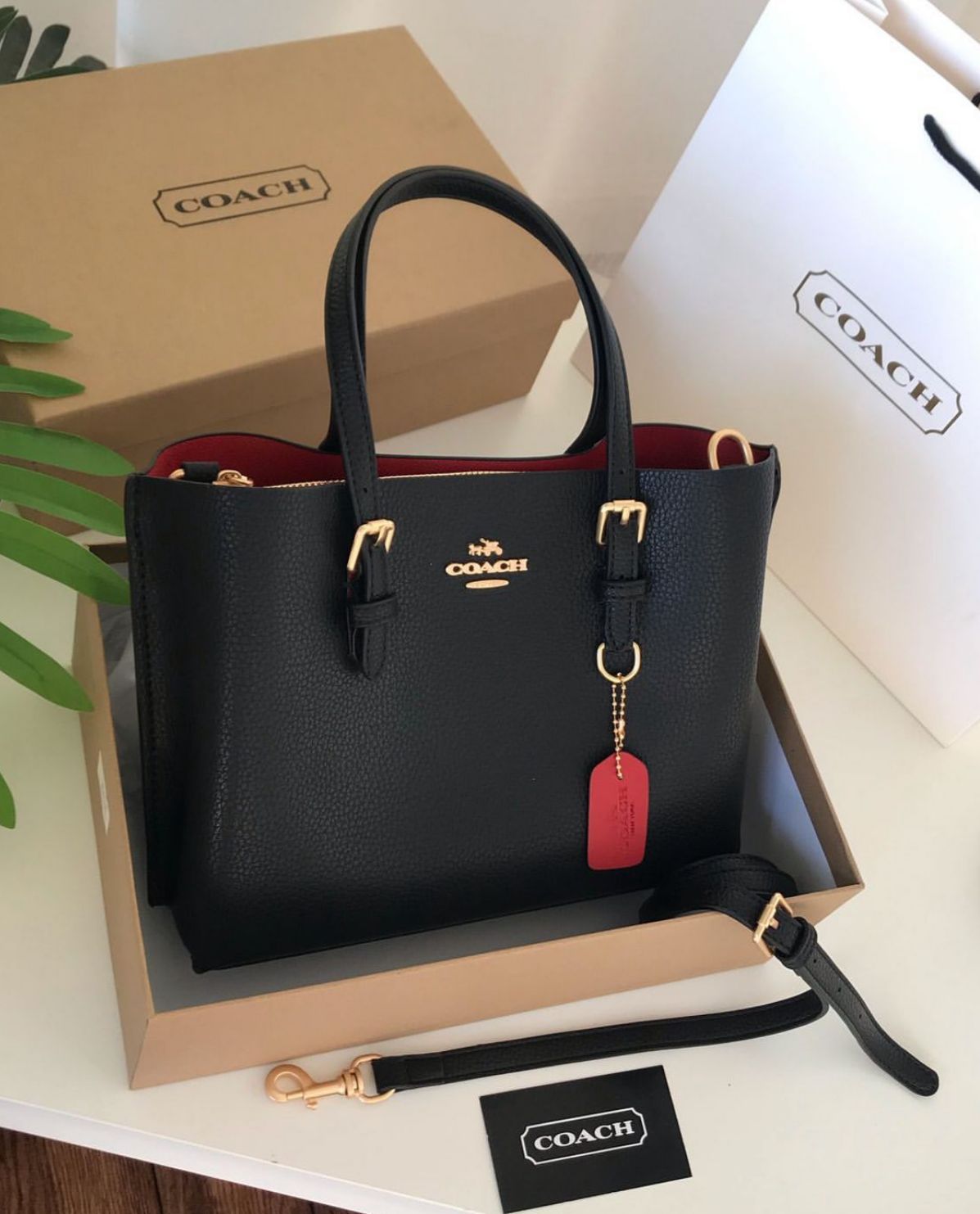 Coach Small Mollie Women Tote Bags 25cm – Solid Colors with Box Series - Image 2