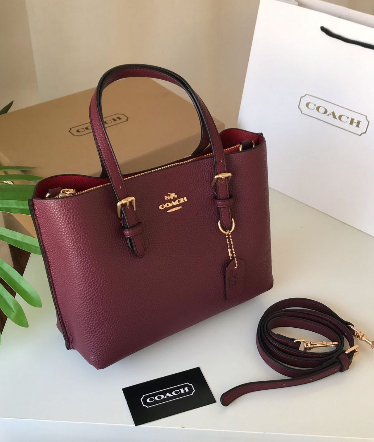 Coach Small Mollie Women Tote Bags 25cm – Solid Colors with Box Series