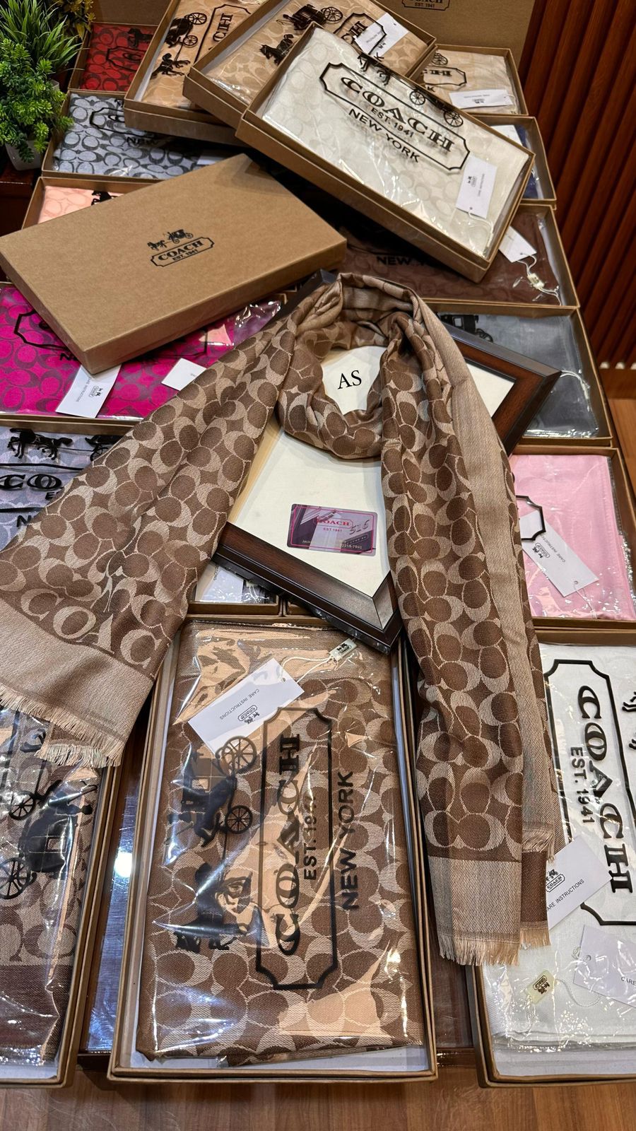 Coach Party Wear Stoles For Women - Image 5