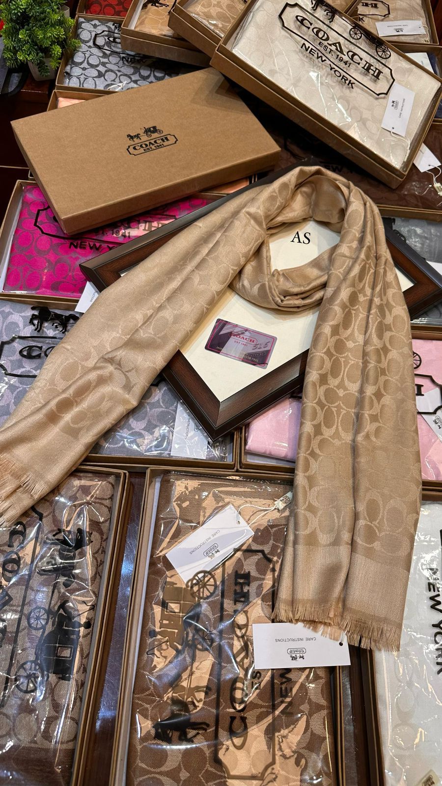 Coach Party Wear Stoles For Women - Image 7