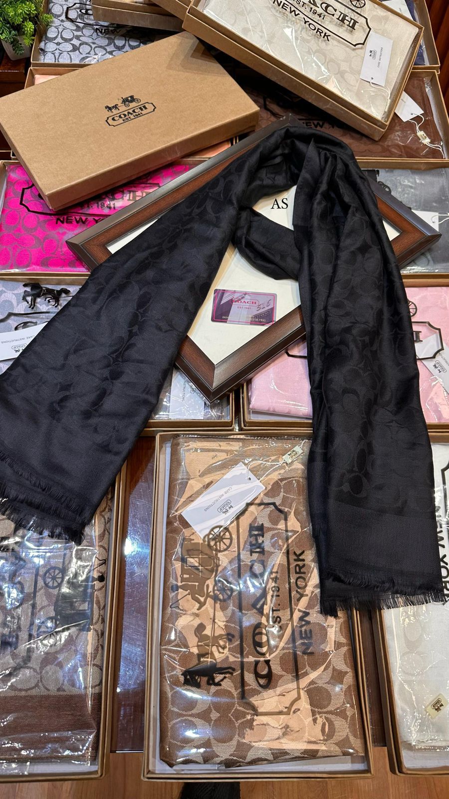 Coach Party Wear Stoles For Women - Image 2