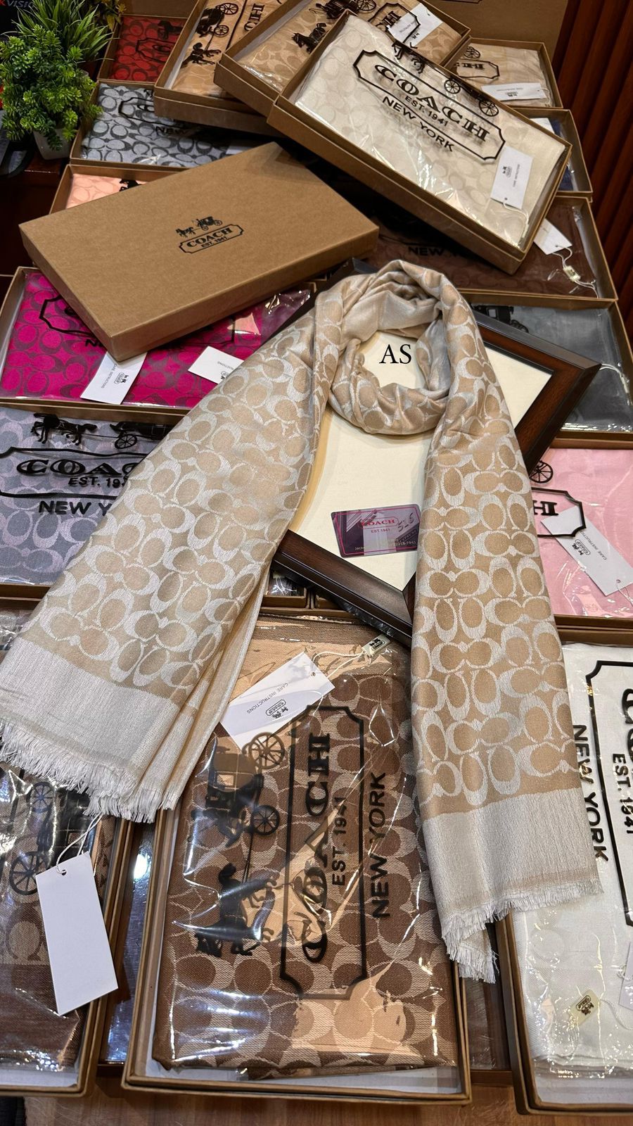 Coach Party Wear Stoles For Women