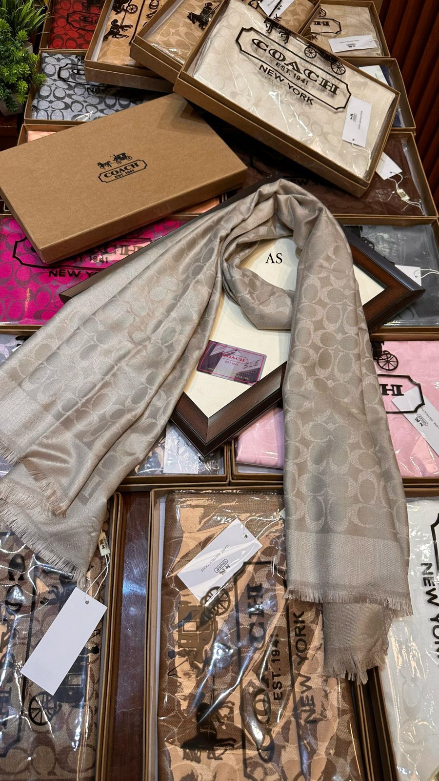 Coach Party Wear Stoles For Women - Image 9