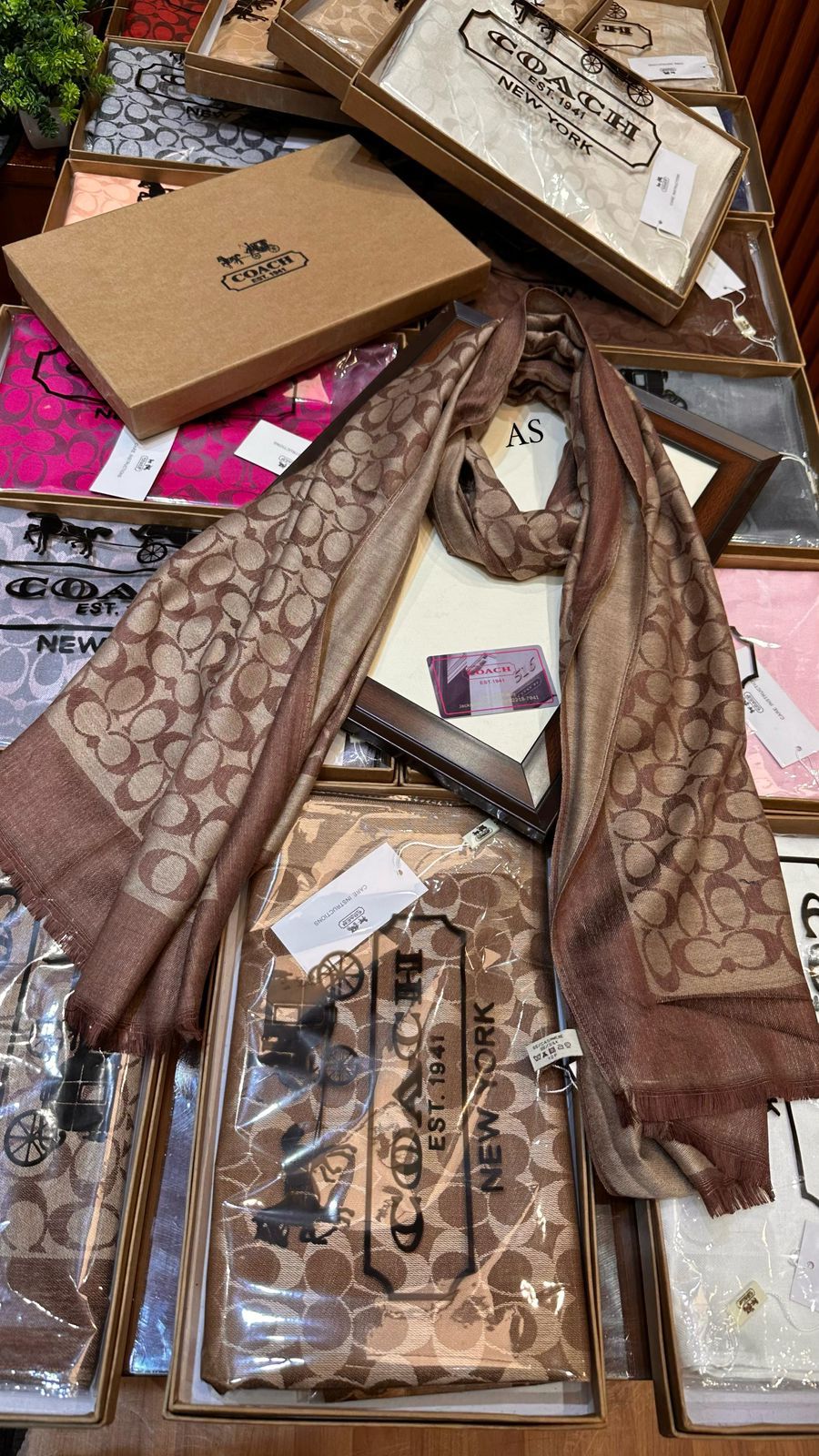 Coach Party Wear Stoles For Women - Image 4